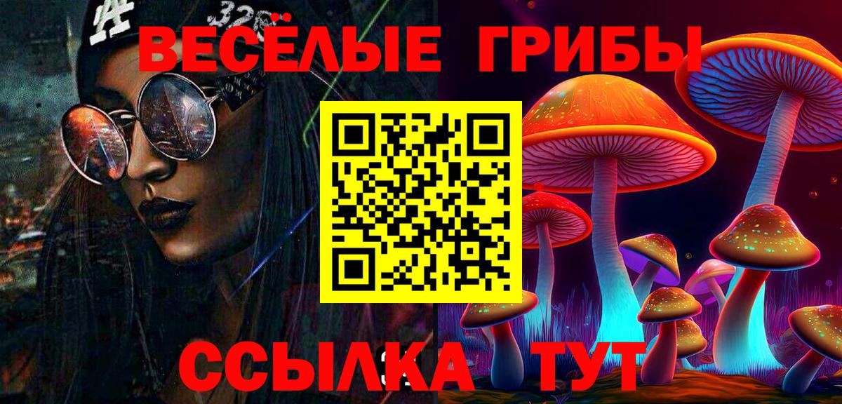 Псилоцибиновые грибы прущие грибы Пугачёв